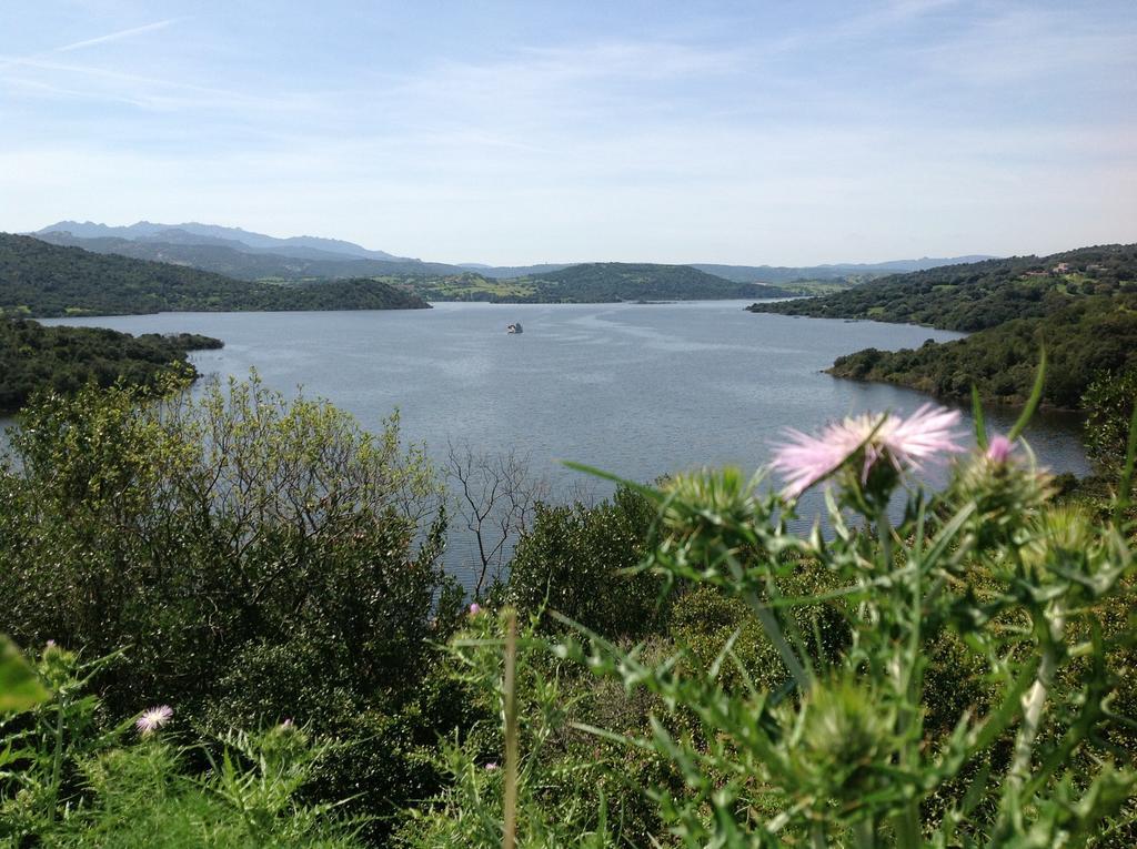 Hotel Aldiola Country Resort Sant'Antonio di Gallura Luaran gambar