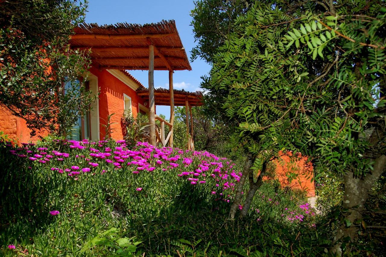 Hotel Aldiola Country Resort Sant'Antonio di Gallura Luaran gambar